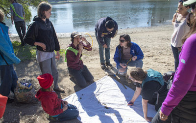 Dan Rademacher, Bio Blitz, San Francisco, California