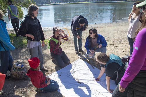 Dan Rademacher, Bio Blitz, San Francisco, California