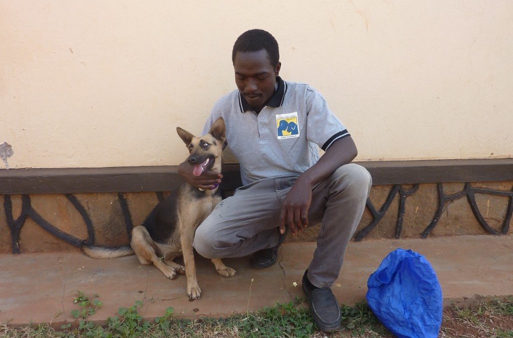 Francis Okello Oloya, Comfort Dog Project, Gulu, Uganda