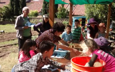 Jenny Lowrey, From the Ground Up Farms, Chico, California