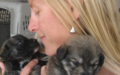 Erin Nissen, Durango Animal Connection, Durango, Colorado