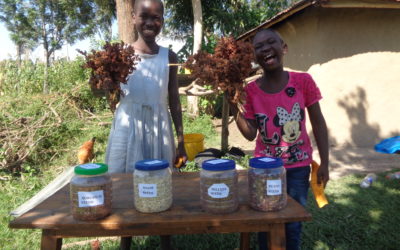 Joseph Okello Makokha, Going Green with Improved Stoves and Basket Food Warmers, Bungoma County, Kenya