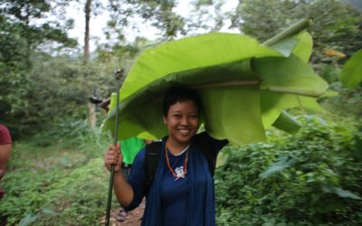 Hayu Patria, Our Seeds, Our Future, Indonesia