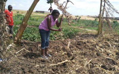 Mercy Kananu Mungania, Miomponi Tree Planting Project, Kenya