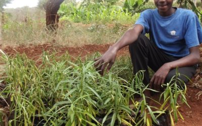 Marcus Muendo, Promoting Conservation of the Environment in Kenya, Kenya