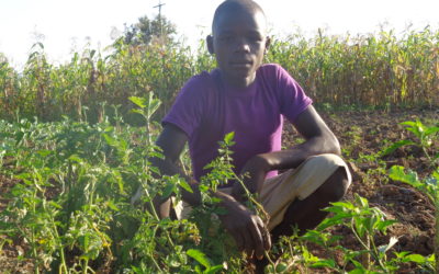 Topistar Were, Supporting Orphans Through Income-Generating Activities, Kakamega, Kenya