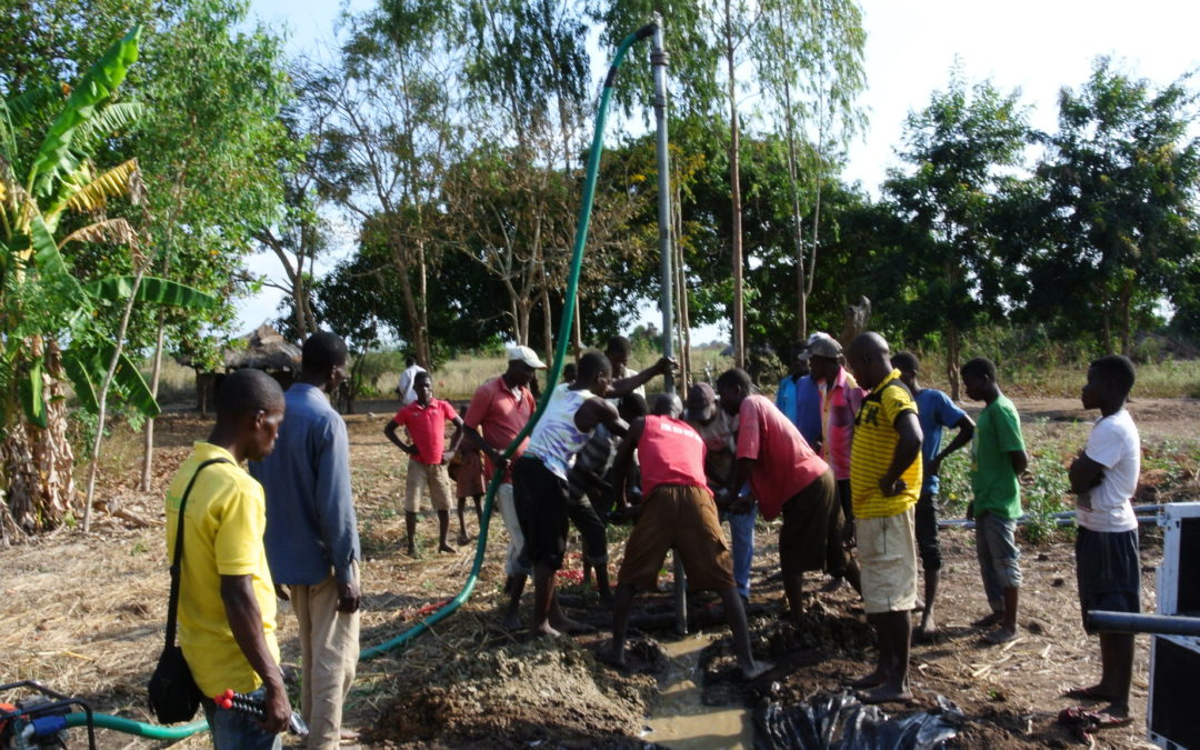 Zachary Lager, Access to Water and Community Reforestation Project, Nguineia, Mozambique