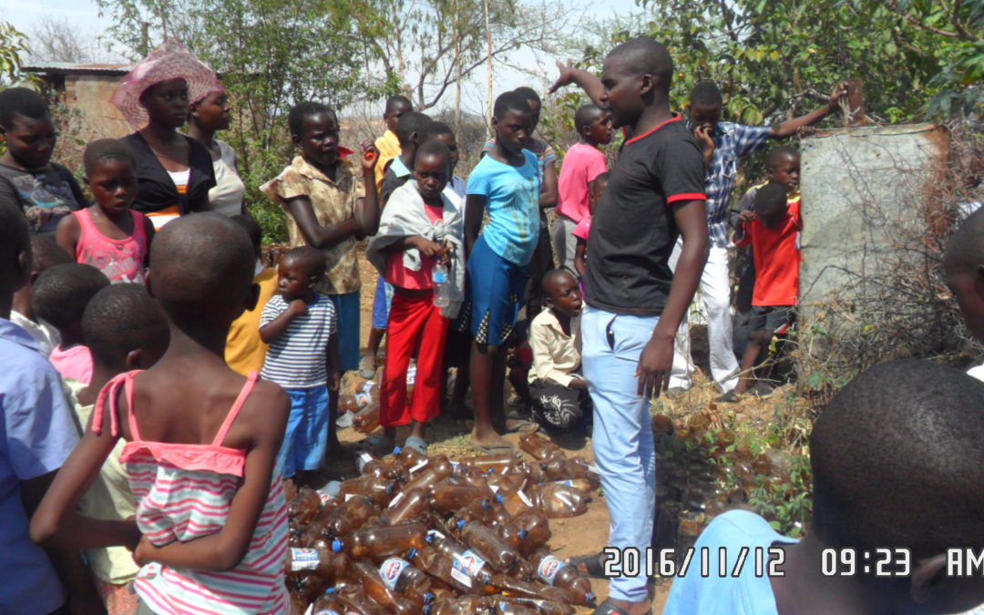 Fanuel Masunda, Green Corridors for Pollination and Ecosystems Revival, Masvingo, Zimbabwe