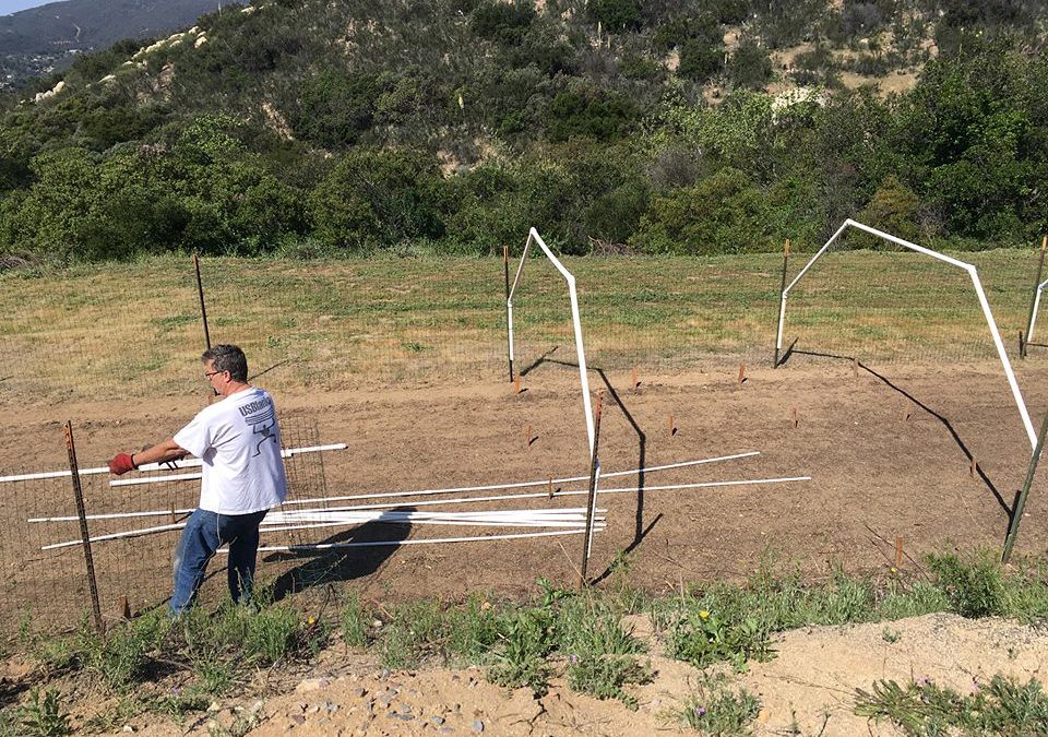 Rory Townsley, Fresh Food And Veggies For The Community Of Imperial Beach, Jamul, CA, USA