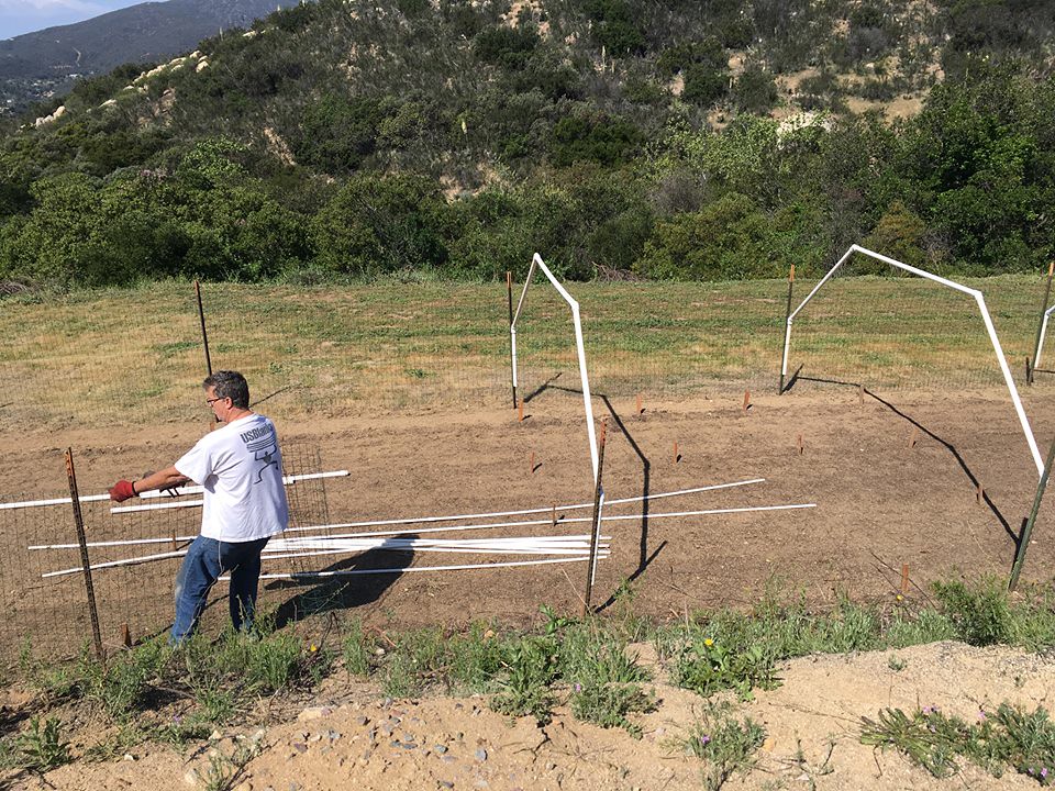 Rory Townsley, Fresh Food And Veggies For The Community Of Imperial Beach, Jamul, CA, USA