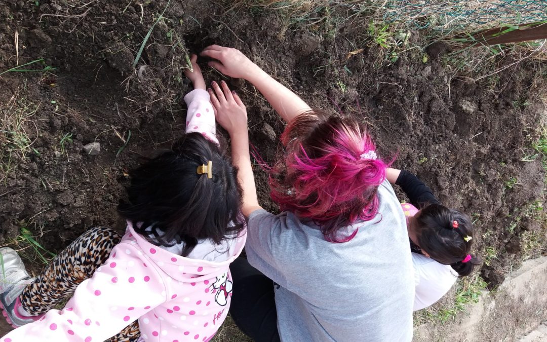 Mariia Kalashnik, The Strawberry Project, Nógrád, Nagylóc, Hungary