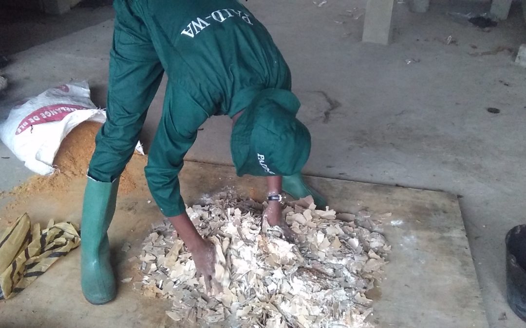Brian Vegah Viyof, Pass Over The Seed (POTS) Project, Bamenda, Cameroon