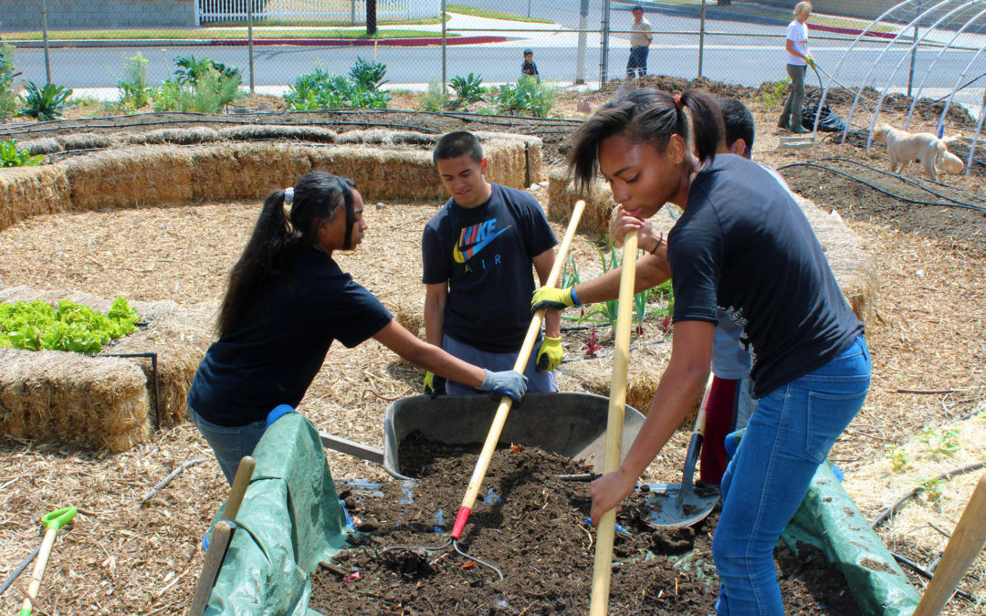 Karen Snook, Kindred Spirits Care Farm, Los Angeles, CA, USA