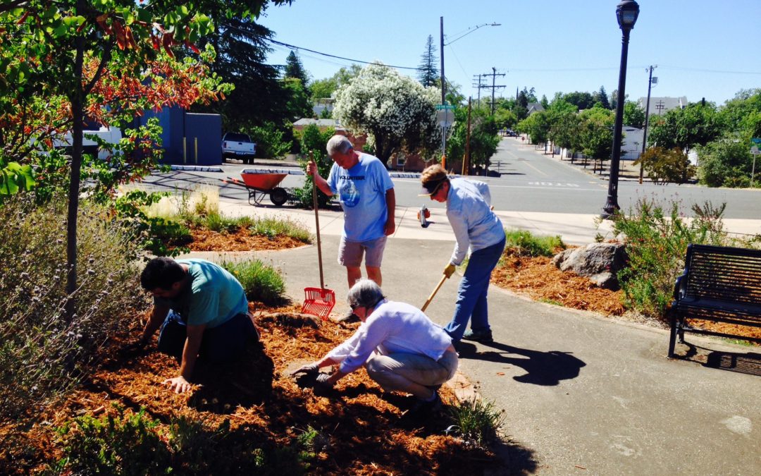 William Bynum, Oroville Pollinators Project, Oroville, CA, USA