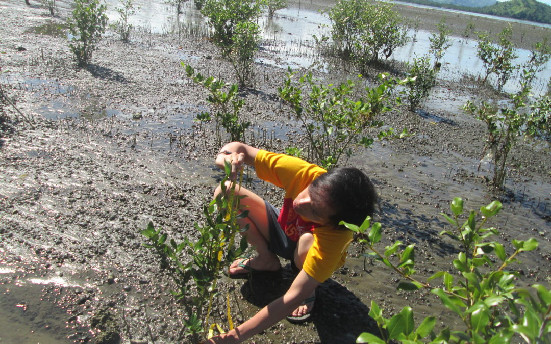 Edelson Arano Dulang, Mobilizing Youth For Environmental Protection And Rehabilitation, Lanao del Norte, Phillipines