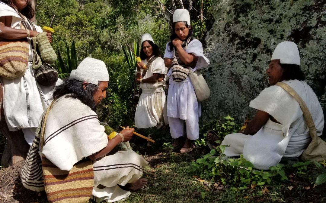 Amanda Bernal-Carlo, One Million Trees To Rescue Water Of The Sierra Nevada De Santa Marta, Colombia