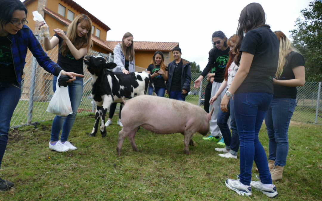 Juliana Castaneda Turner, Juliana’s Animal Sanctuary, Colombia