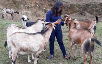 A Voice for the Voiceless: Sameeksha Bhattarai Advocates for Compassion Toward All Animals in Kathmandu, Nepal