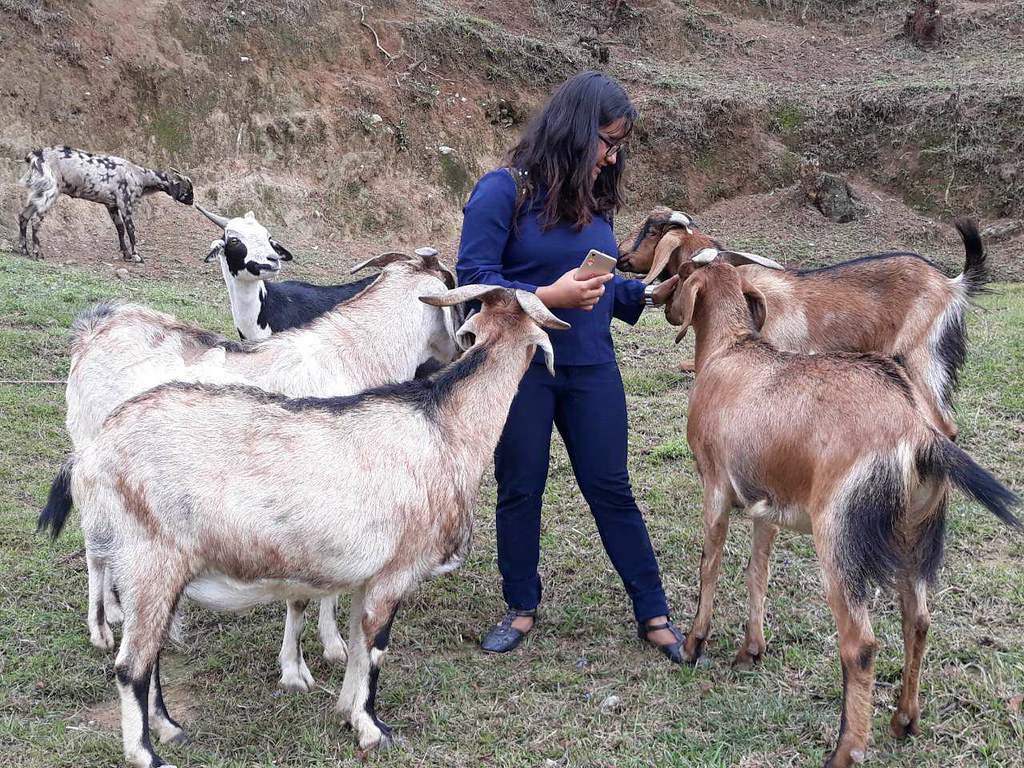 A Voice for the Voiceless: Sameeksha Bhattarai Advocates for Compassion  Toward All Animals in Kathmandu, Nepal - The Pollination Project