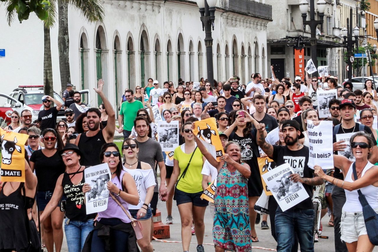 Grants & Funding for Animal Welfare Projects The Pollination Project