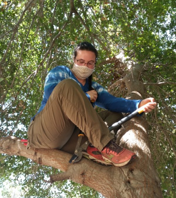 Friendship Blooms Eternal