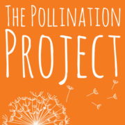 (c) Thepollinationproject.org