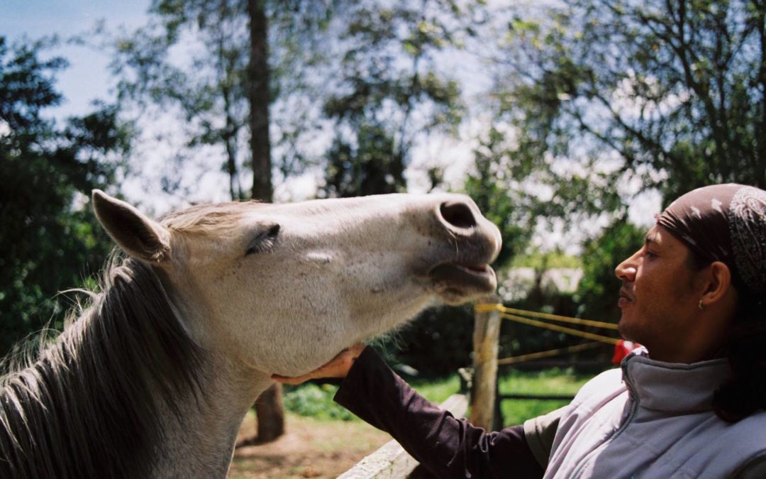 TPP Is Now Accepting Applications for Animal Advocacy Projects