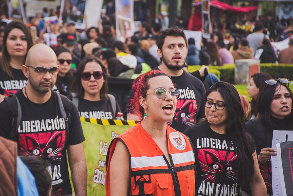 Polifacética: the Spanish voice of conscious activism