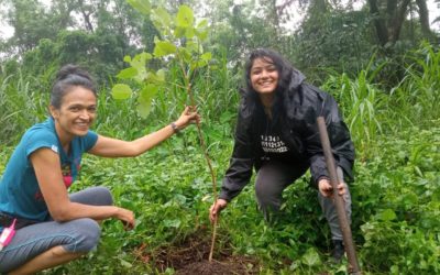 Youth for Aarey: Fighting for the Last Green Space in Mumbai
