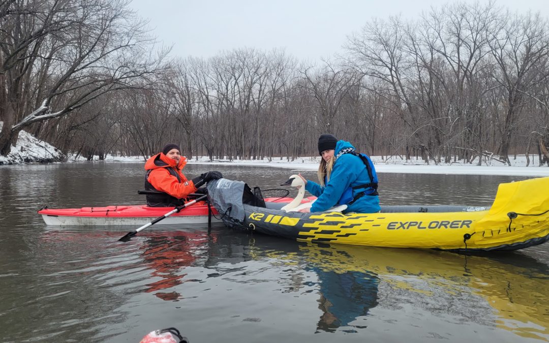 Compassion in Action: Saving One Wildlife Animal at a Time