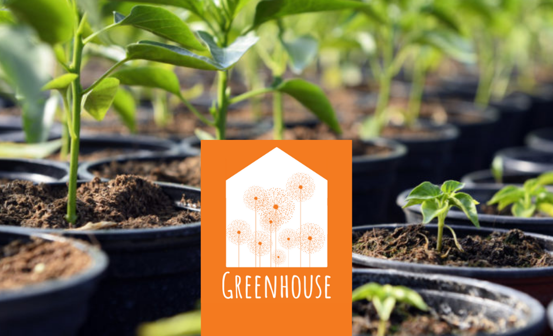 Greenhouse: Material Capital & the Art of Giving and Receiving