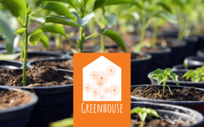 Social Capital: The Beginning of the Greenhouse Experience