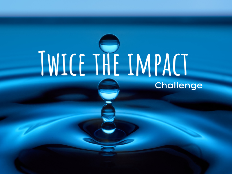 Twice the Impact Challenge | Donate to The Pollination Project