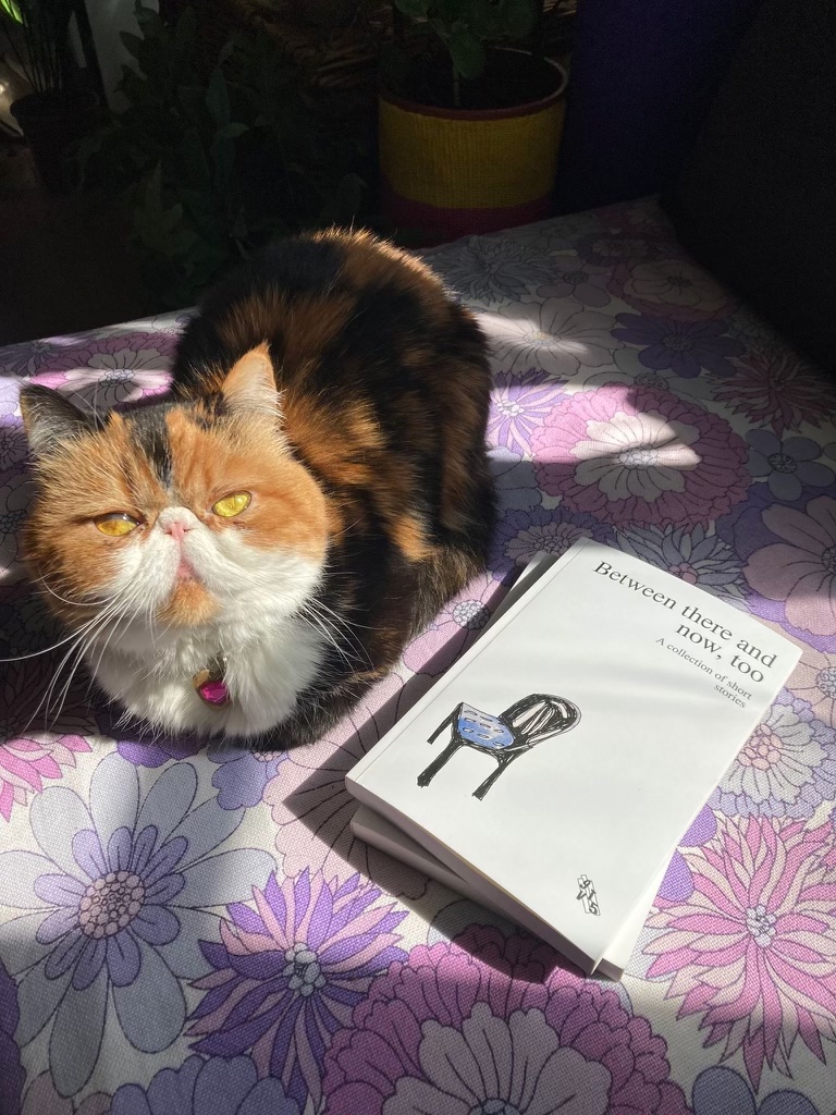 How 9VT\5 is Opening Doors for Unpublished Writers and Poets in America