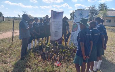 Educating Zimbabwe Youth to Become Environmentally Conscious