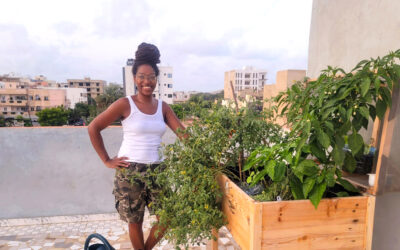 Sustainable and Healthy Eating Through Urban Gardens in Senegal