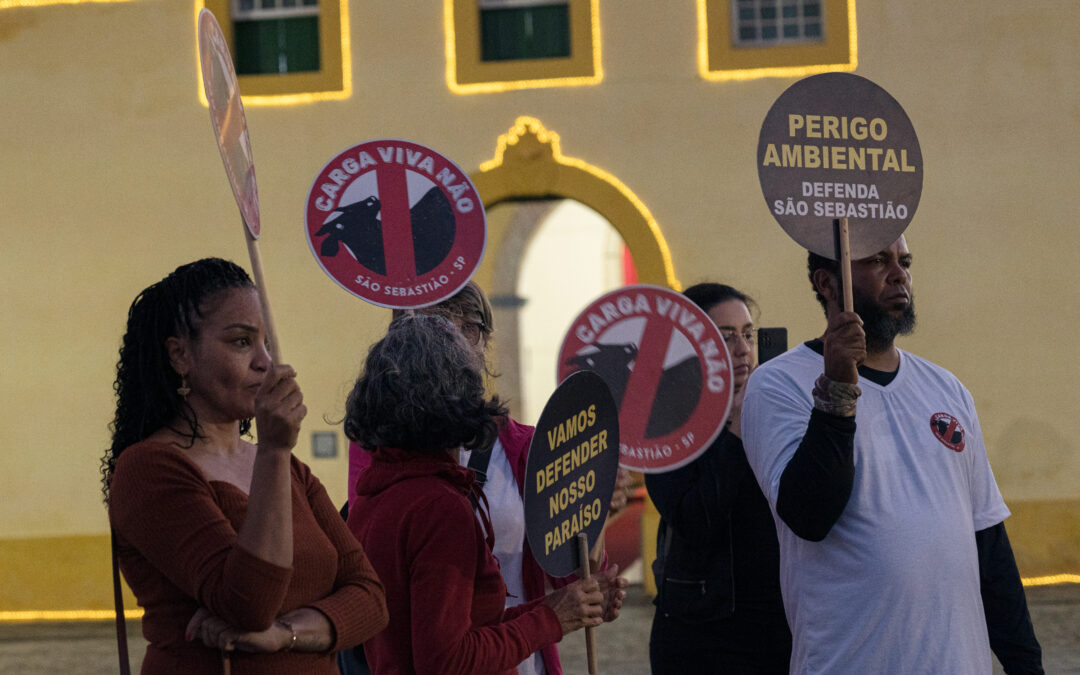 Empowering Animal Advocates in Brazil