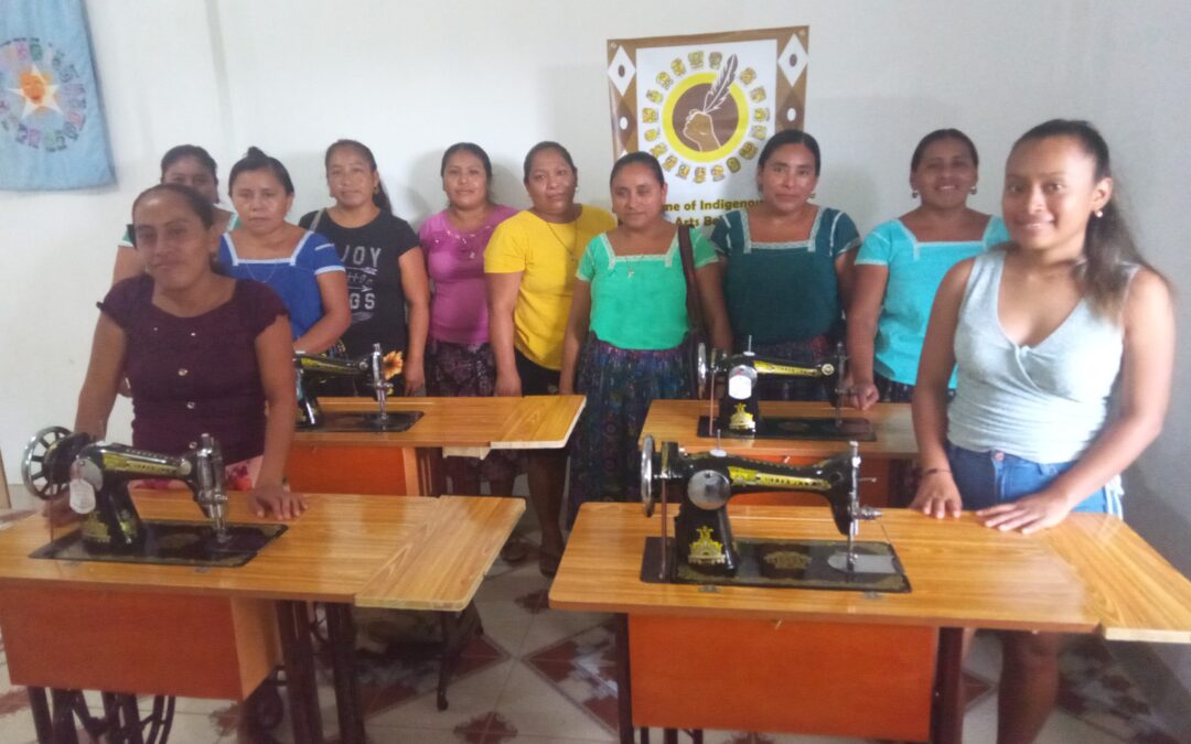 Indigenous Women Artisans: A Journey of Growth and Innovation