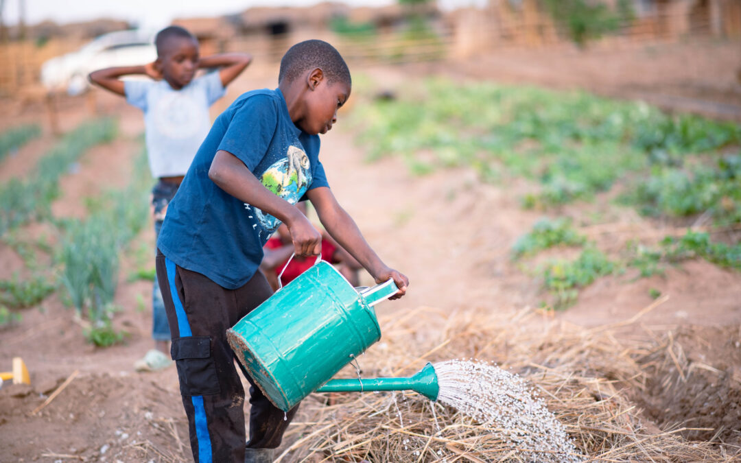 Nourishing Minds: A Grant to Cultivate Food Security in Malawi