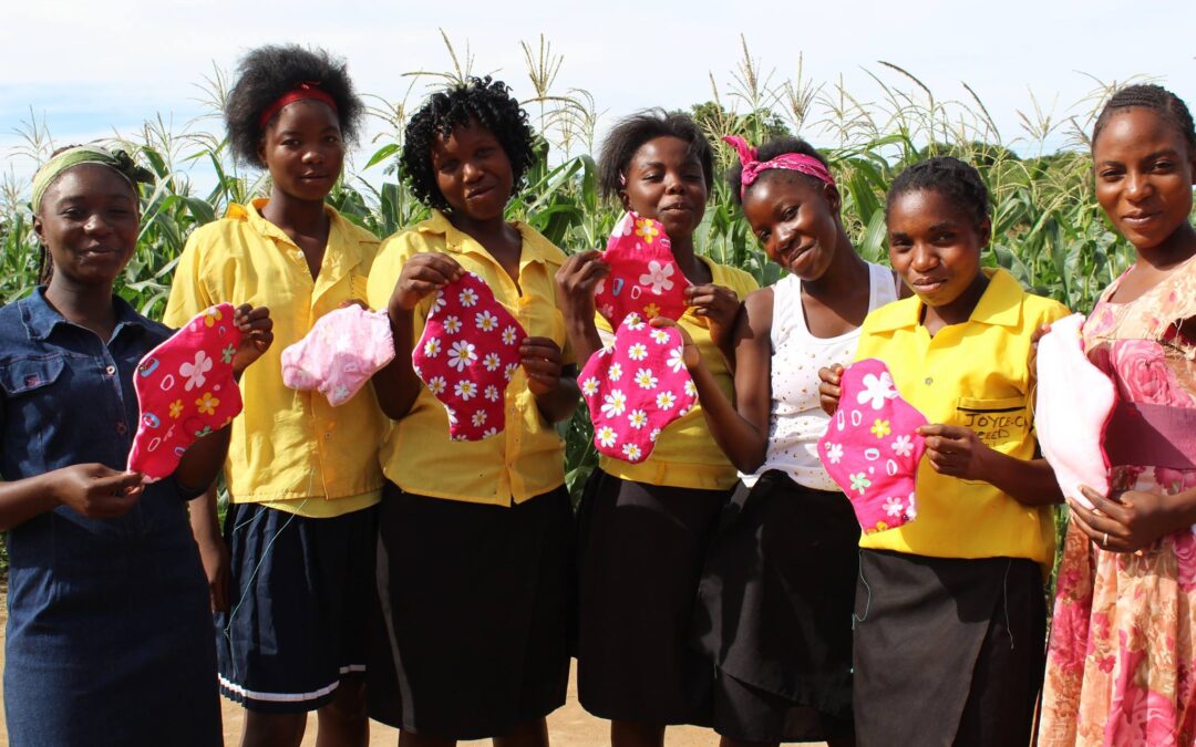 Ending Period Poverty: How The Pollination Project Empowers Grassroots Solutions