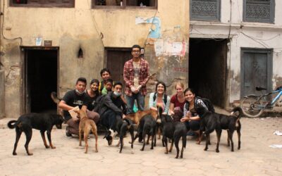 For the Dogs: A Lesson in Compassion