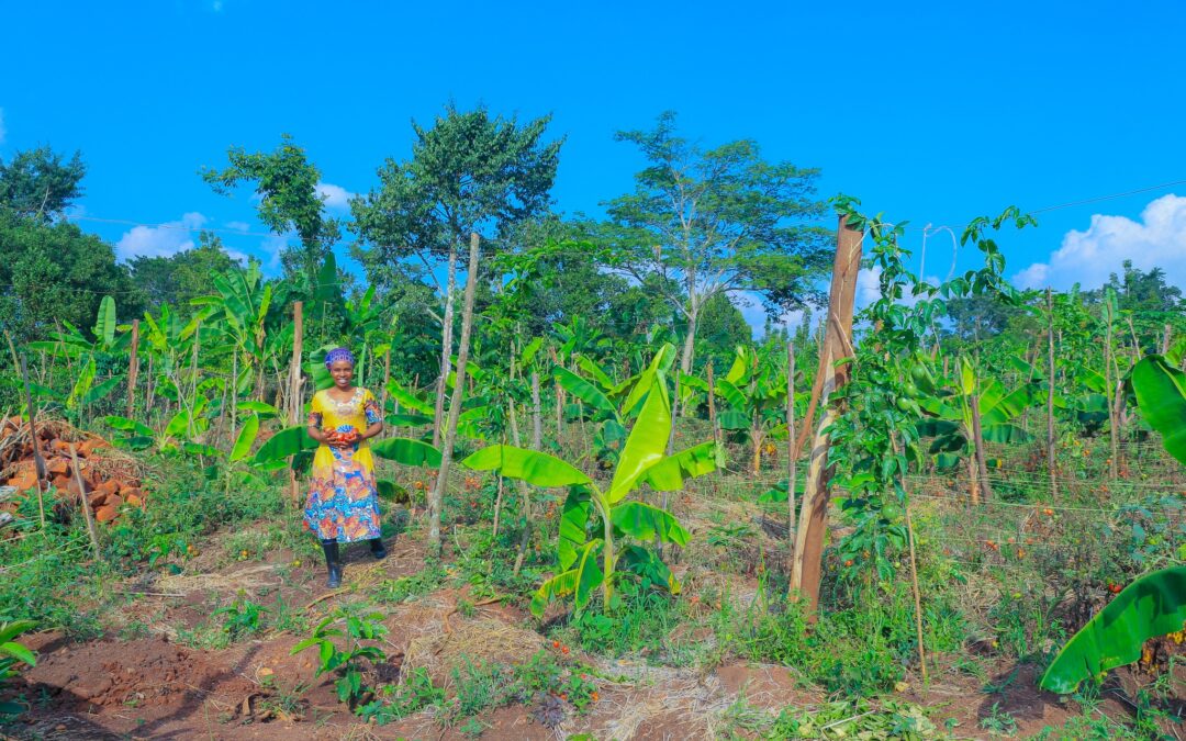 Sow and Soar: Growing Women’s Leadership Through Climate-Smart Farming