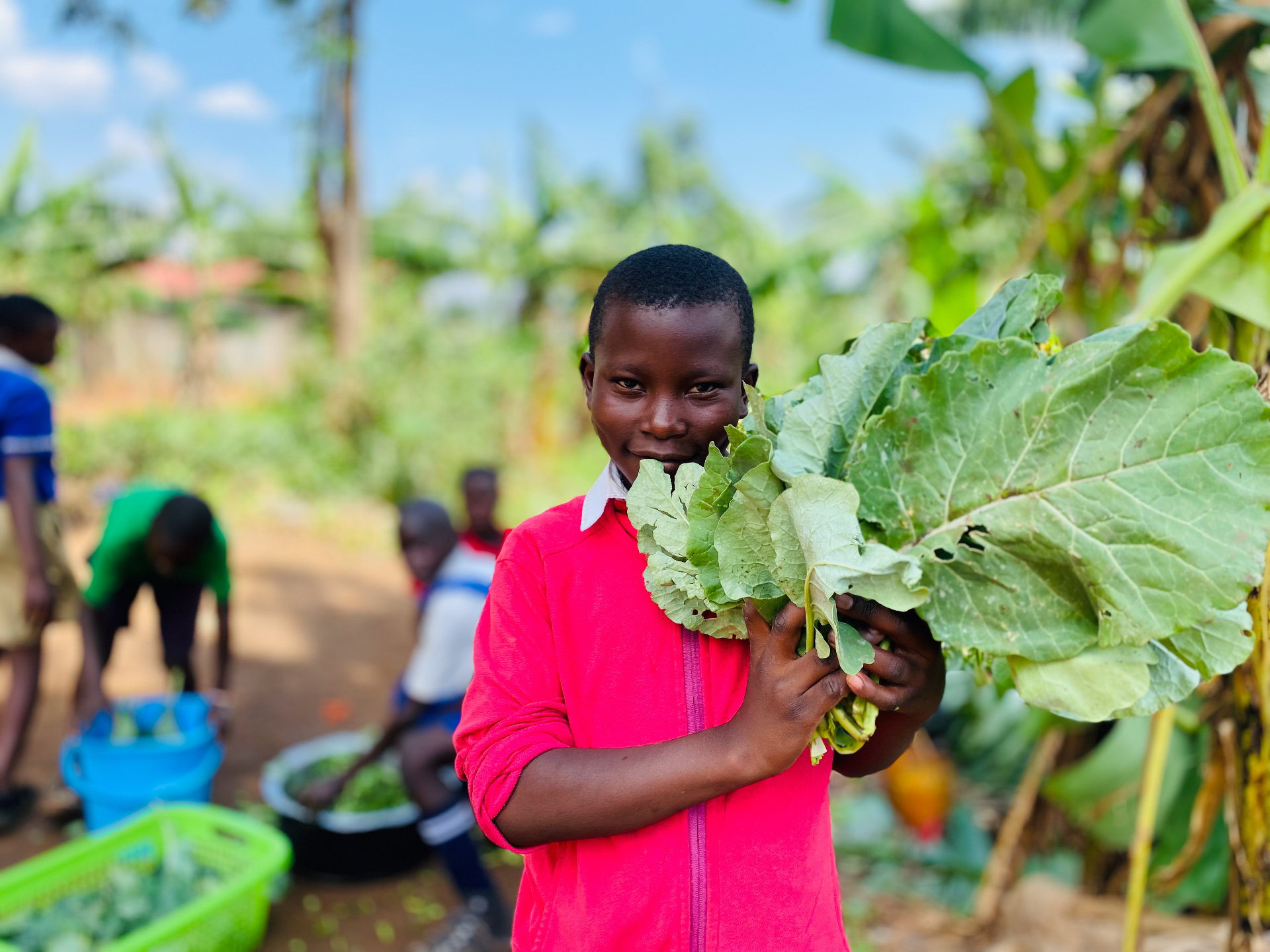 Picture of Co-Founders David and Nessa with legal interns