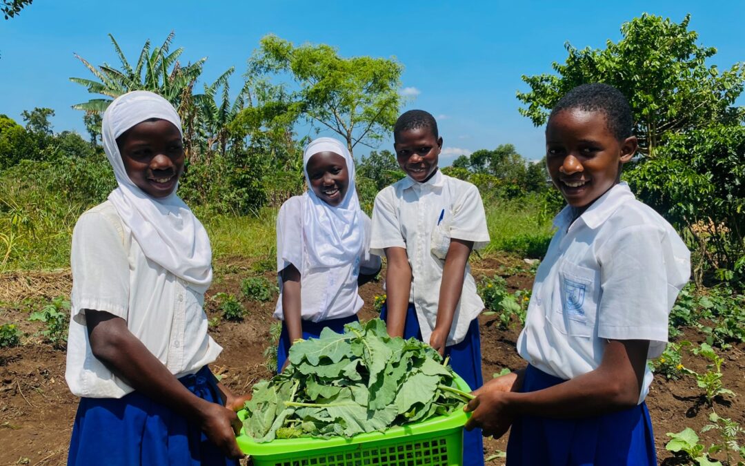 Cultivating Change Through Green Spaces