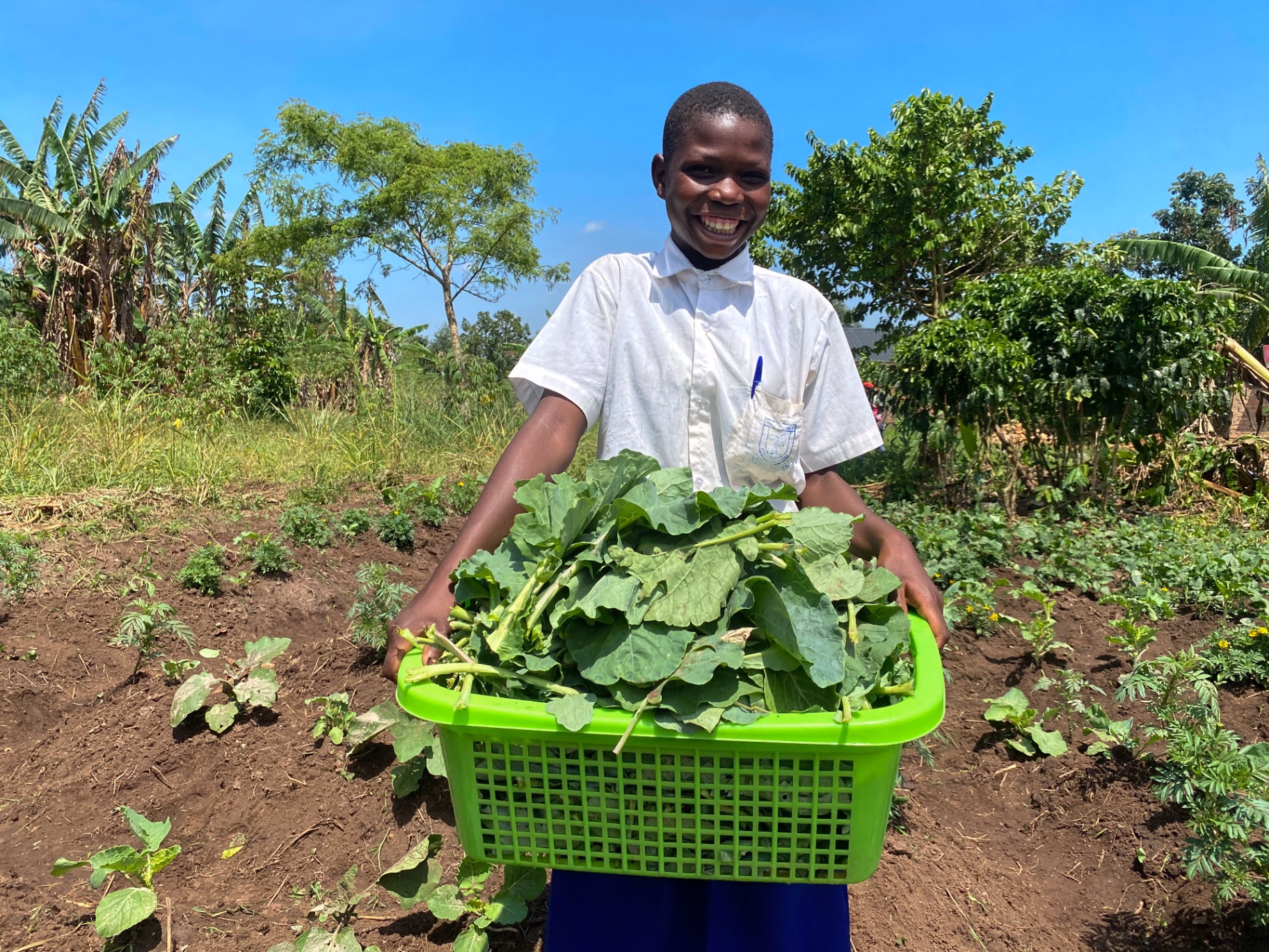 Picture of Co-Founders David and Nessa with legal interns