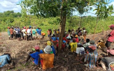 Agroforestry Rooted in Community Vision