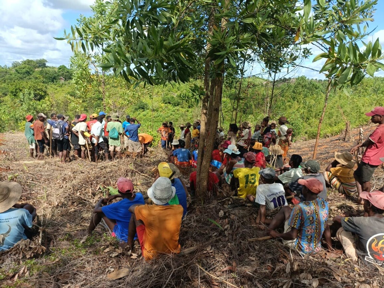 Agroforestry training