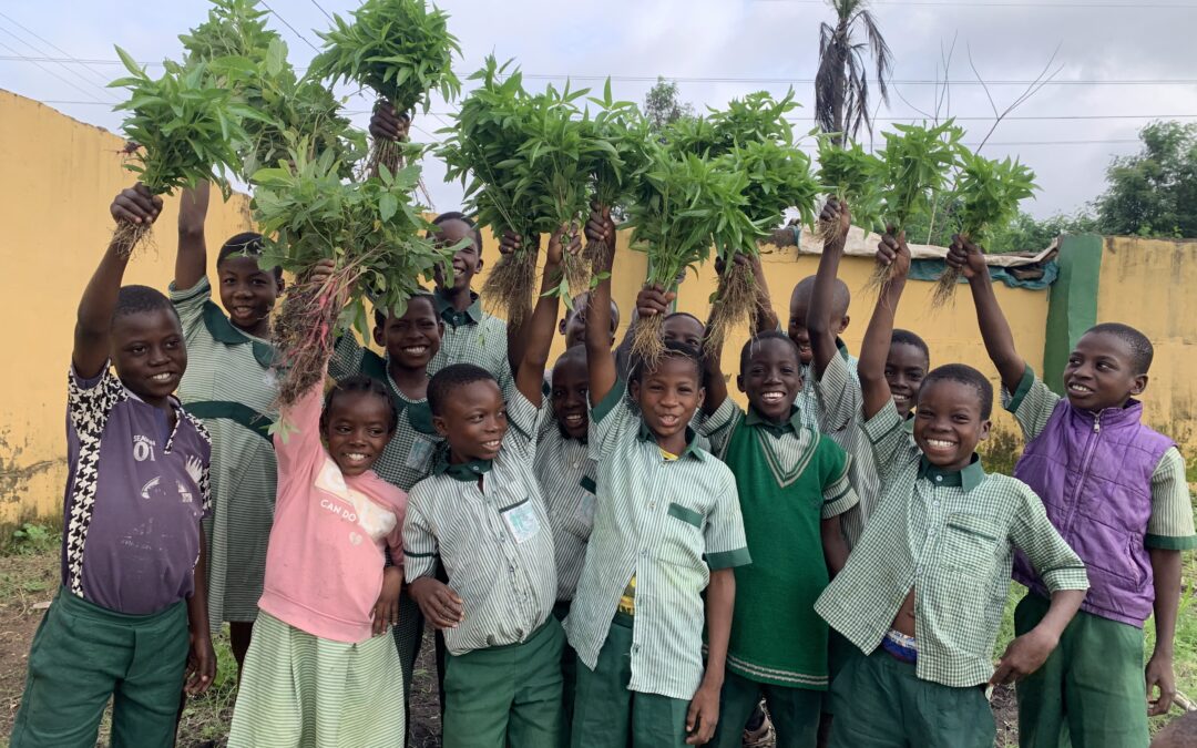 Growing Confidence, Cultivating Change