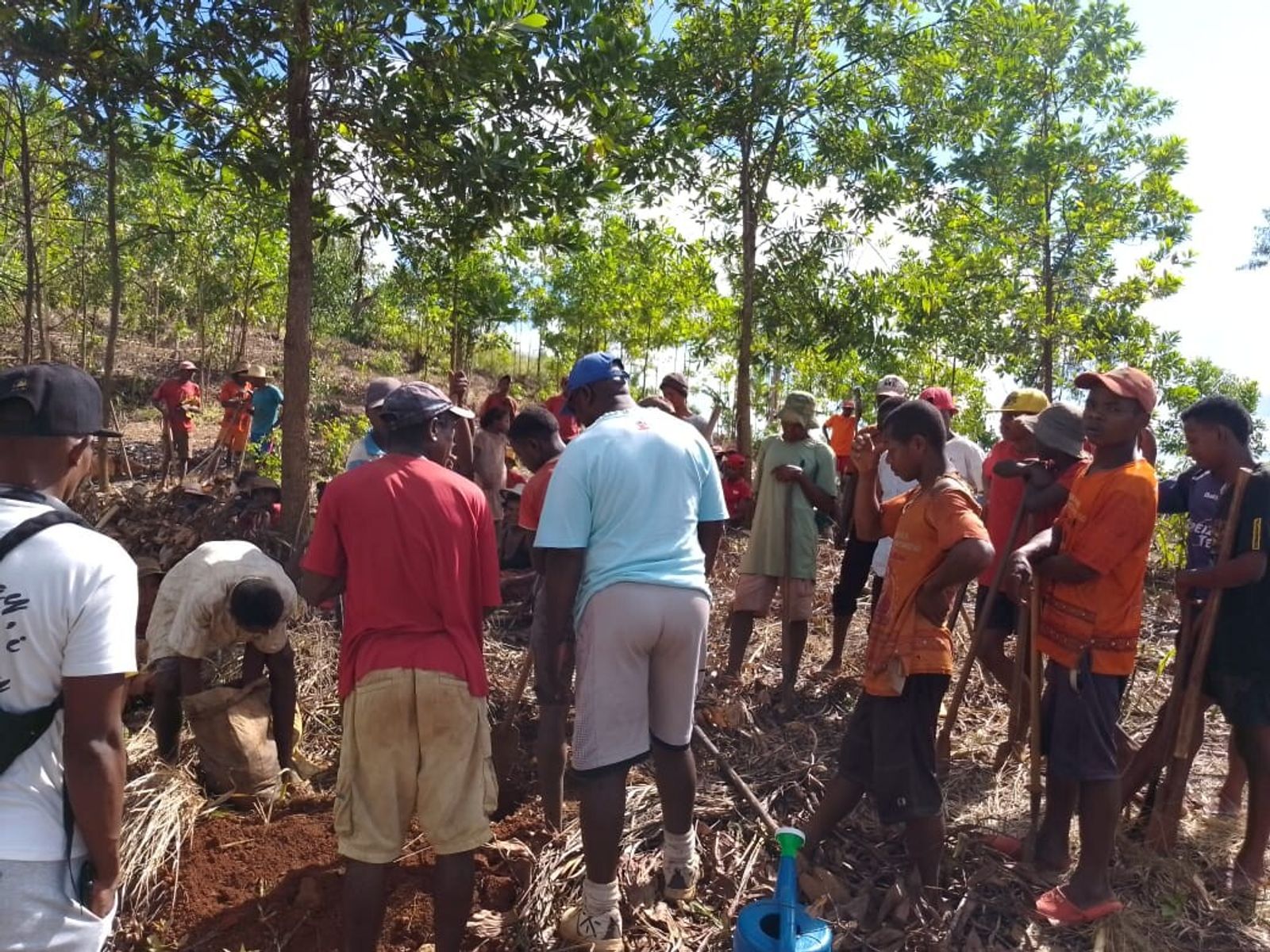 Puting organic fertilizer