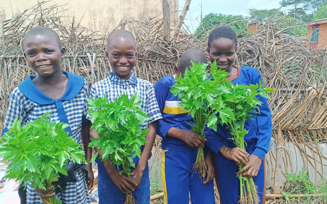 From Empty Stomachs to Thriving Futures